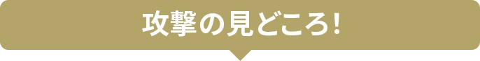攻撃の見どころ！