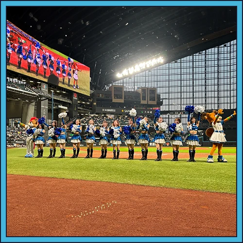 ファイターズガールとフレップトポリー