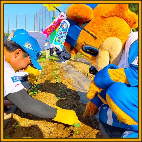 C・Bと一緒に苗を植える