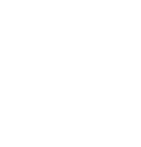 F画像