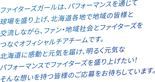 ファイターズガール