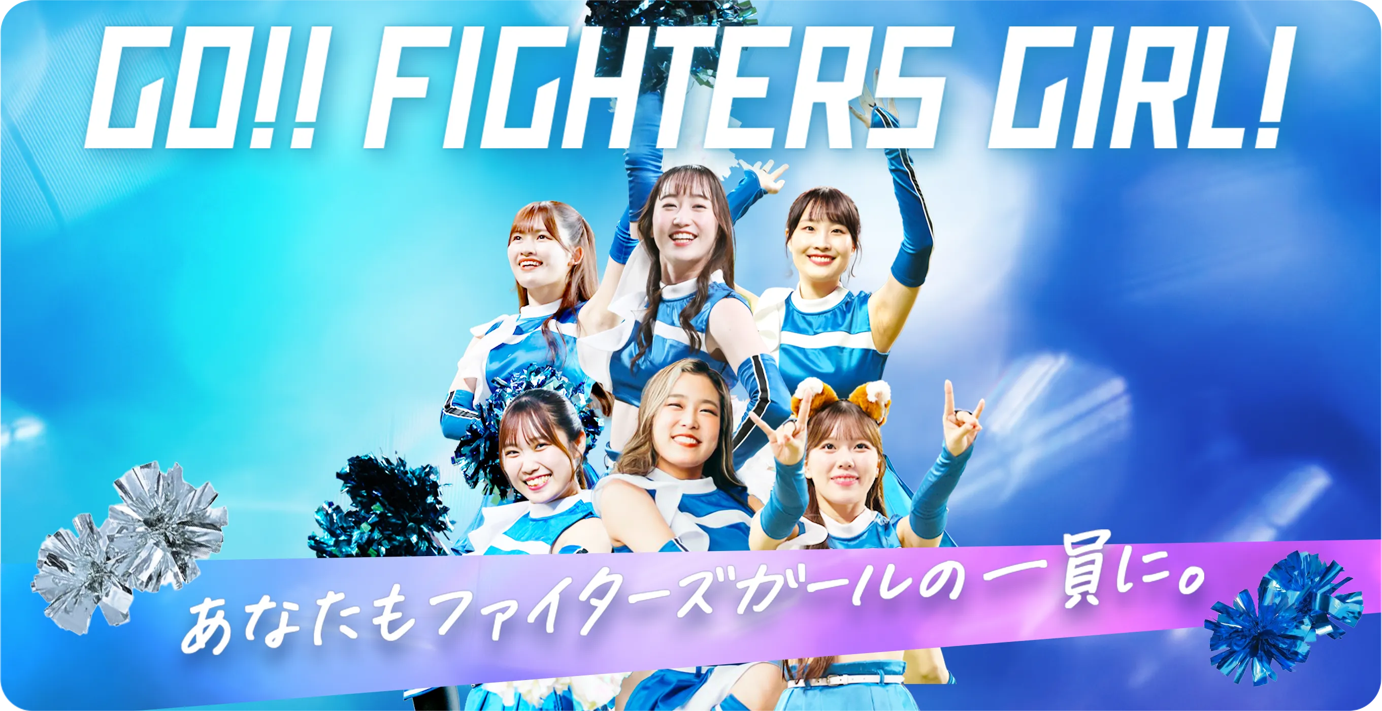 ファイターズガール