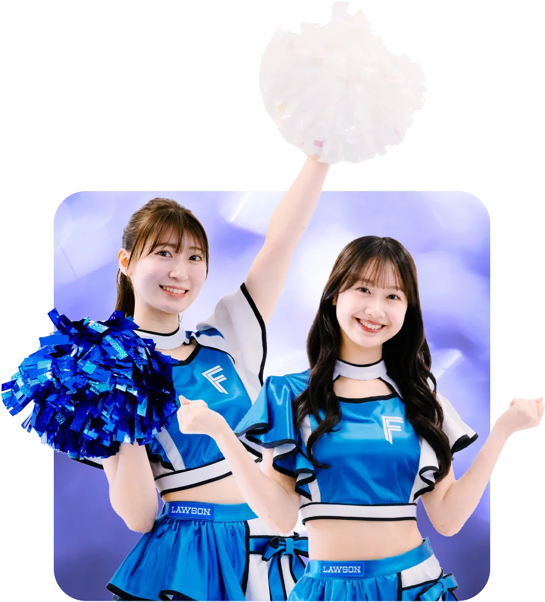 グッズとファイターズガール