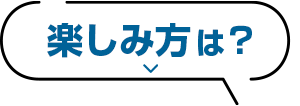 楽しみ方は？