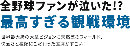 全野球ファンが泣いた!?最高すぎる観戦環境