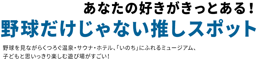 あなたの好きがきっとある！野球だけじゃない推しスポット