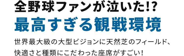 全野球ファンが泣いた!?最高すぎる観戦環境