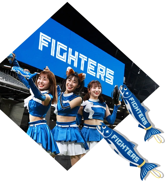 ファイターズガール