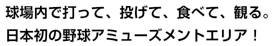 応援グッズからお土産までファイターズグッズの全てがここに！