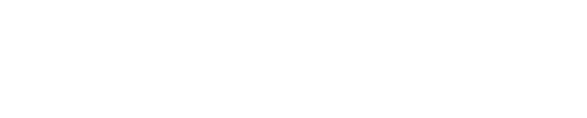 当日の楽しみ方例