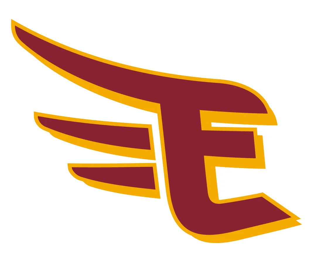 東北楽天ゴールデンイーグルス