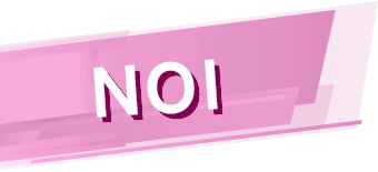 NOI