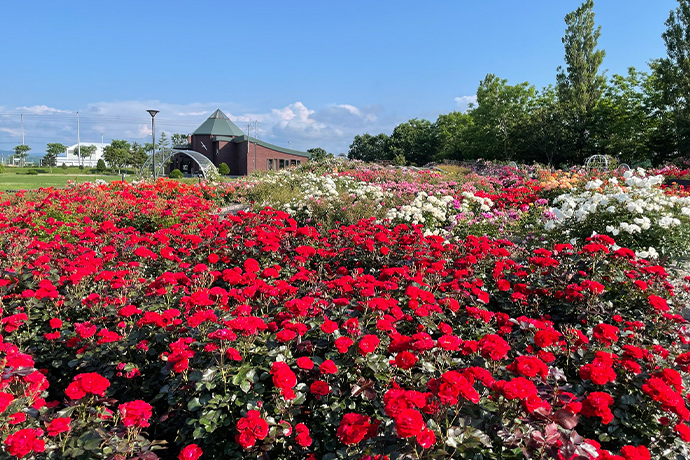 羽幌町 観光スポット