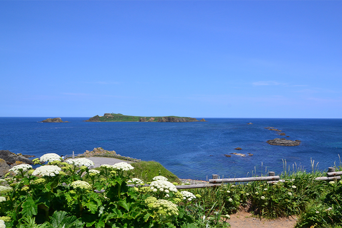 礼文町 観光スポット