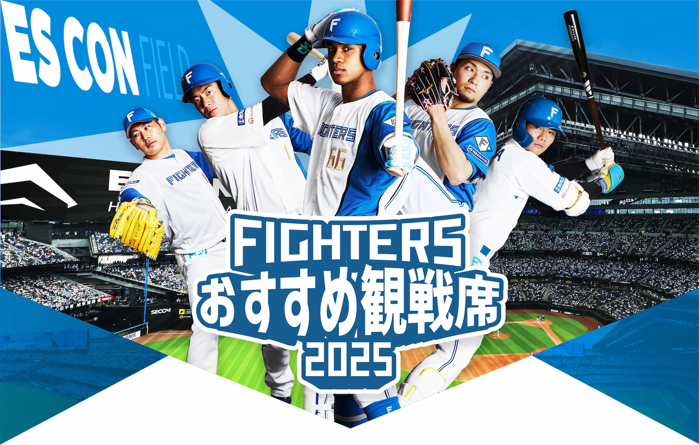 FIGHTERS おすすめ観戦席2024