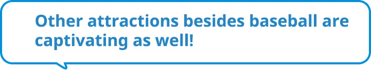 Other attractions besides baseball are captivating as well!