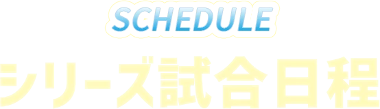 シリーズ試合日程
