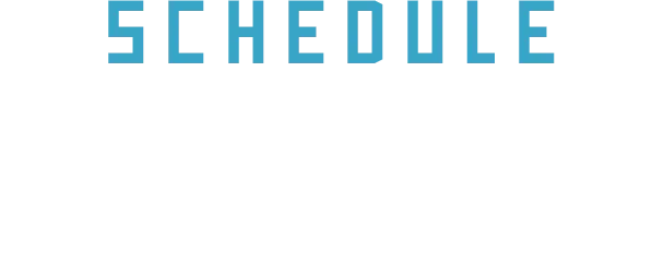 シリーズ試合日程