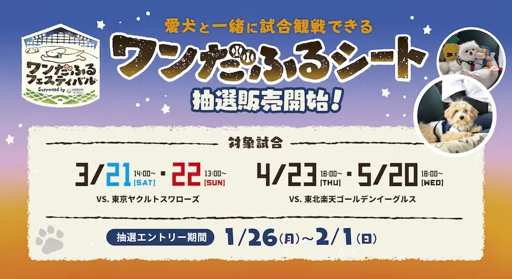 ワンダフルシート抽選開始画像