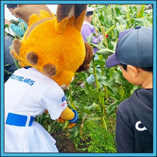 ポリーと一緒に苗を植える