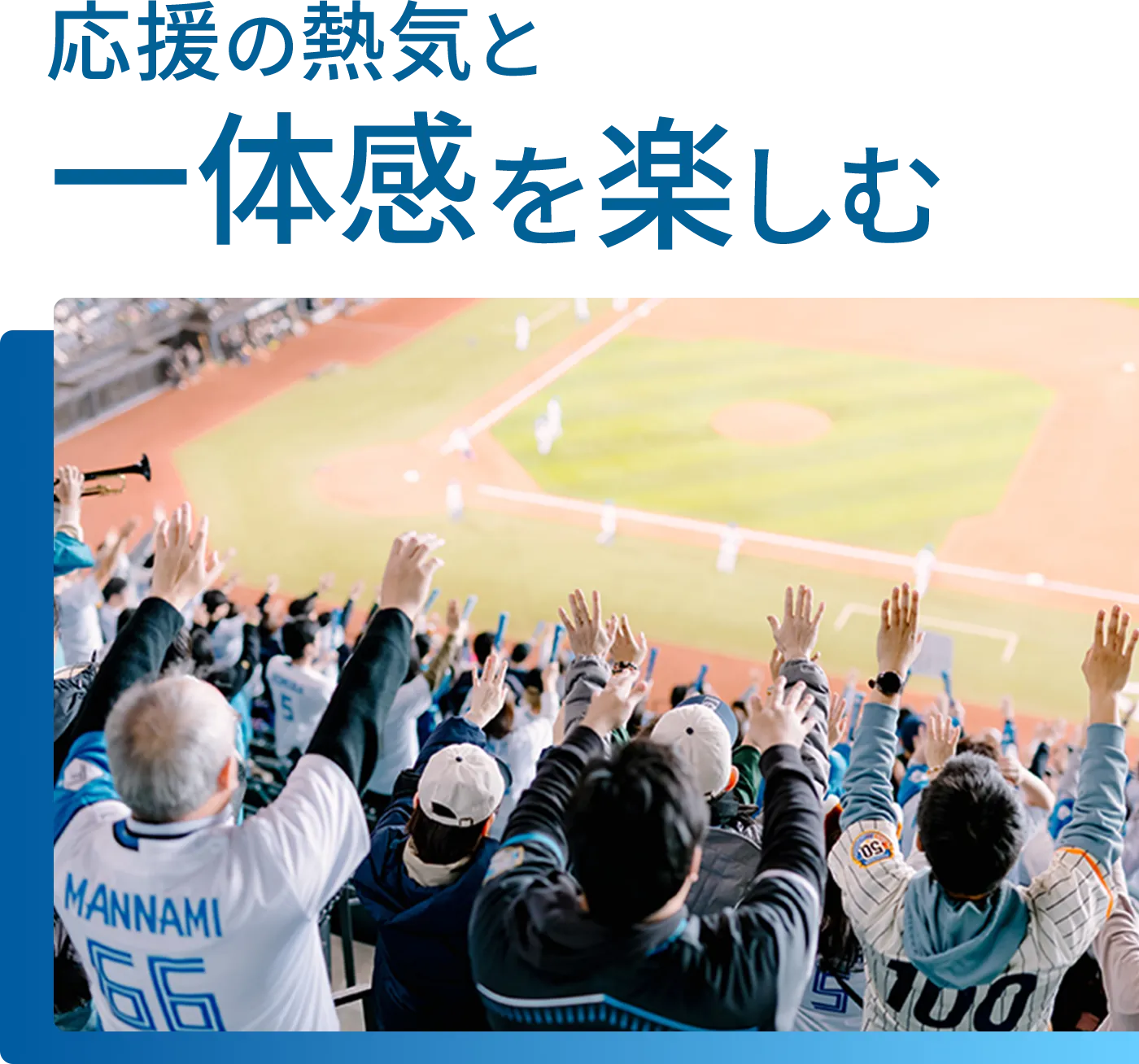 応援の熱気と一体感を楽しむ画像