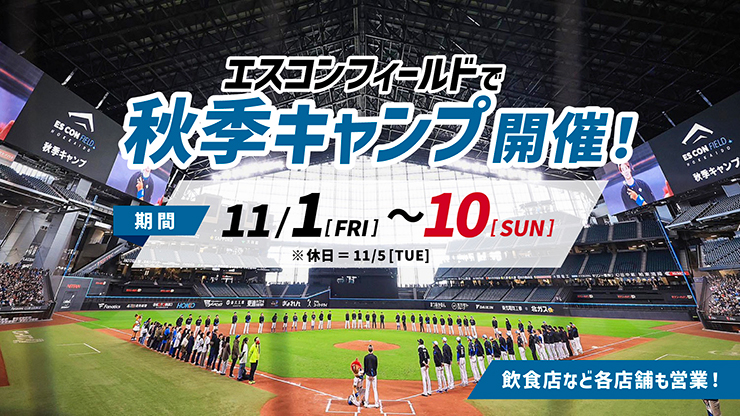 秋季キャンプ開催！