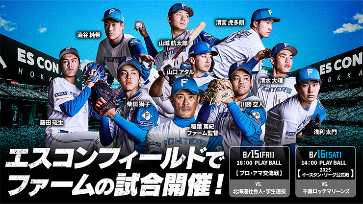 日ハムチケット４枚 北海道日本ハムファイターズ - 【内野バックネット裏】 8月7日