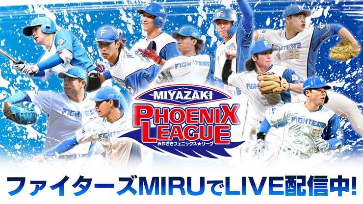 フェニックス フェニックス