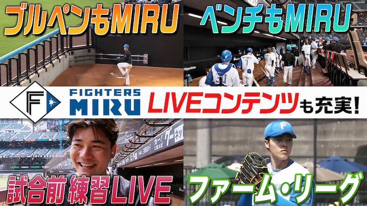 取引先決定　ファイターズセット　スポーツ 野球 北海道日本ハムファイターズ