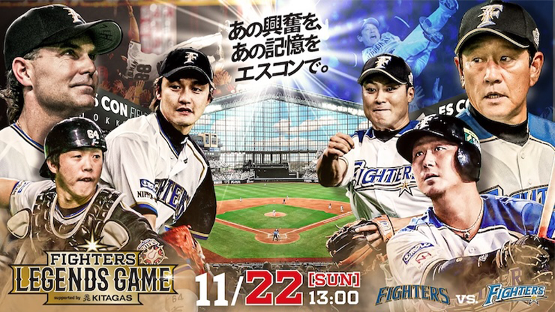 《FIGHTERS LEGENDS GAME》
