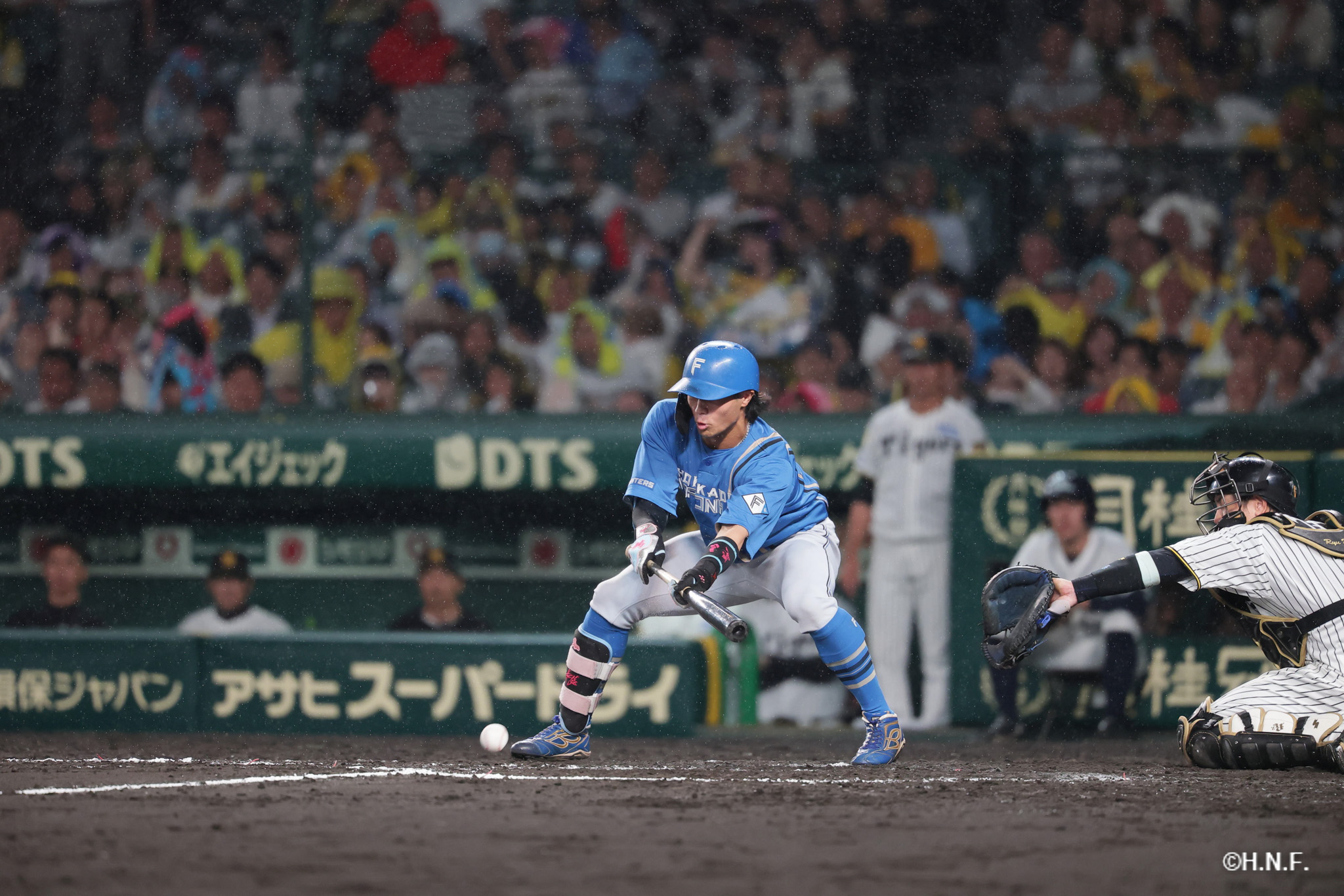 9回表、細川選手01