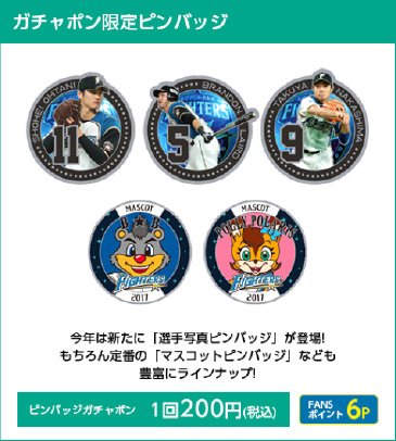 静岡開催記念グッズ＆ファンクラブイベント情報 | 北海道日本