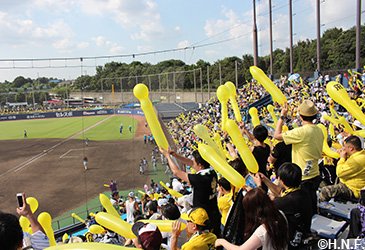 企画チケットも続々！阪神タイガースとのファーム交流戦開催 | 北海道 