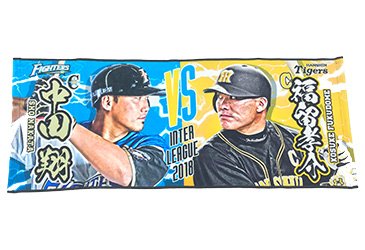 交流戦期間はグッズもコラボ!「中島卓也選手×京田陽太選手」「中田翔