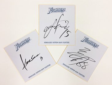 お気にいる Fighters 選手直筆サイン 14枚セット 歩こ その他