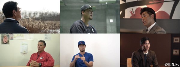 Amazon.co.jp: 北海道日本ハムファイターズ誕生15th