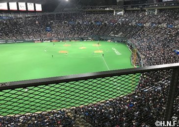 レフト側