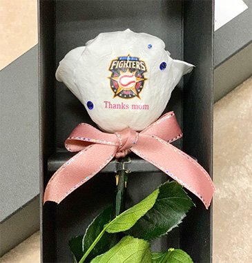 ファイターズ　地方開催記念2019 ボール5個 2019FIGHTERS BASEBALL CHAMPIONSHIP U-12』決勝トーナメントが