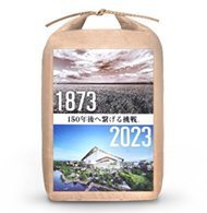 ボールパークTシャツコース