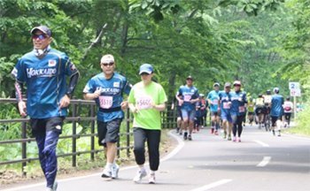 ボールパークTシャツコース