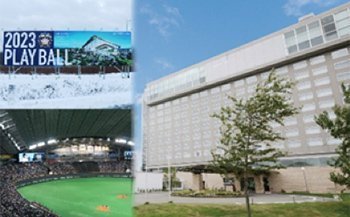 ボールパークTシャツコース