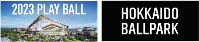 フェイスタオル(PLAYBALL/ワード)