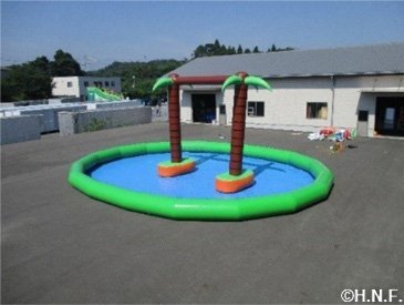ヤシの木プール
