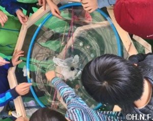 ブラックホール擬似体験