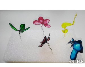 不思議な膜づくり