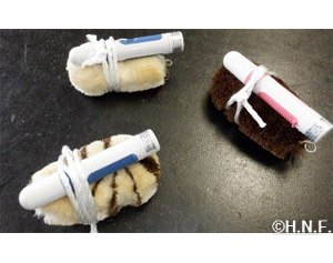 動くタワシ観察実験