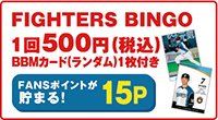 FIGHTERS BINGO