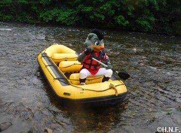 ラフティング画像