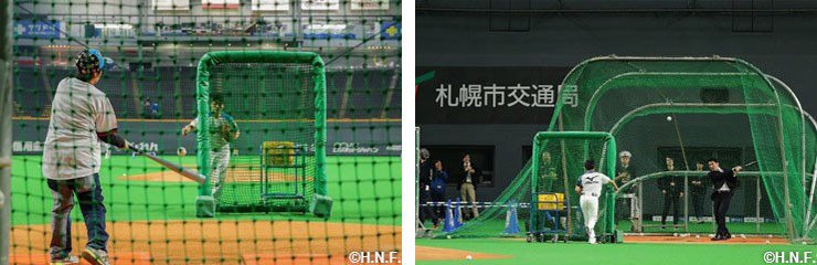 今季実施した野球チャレンジの様子