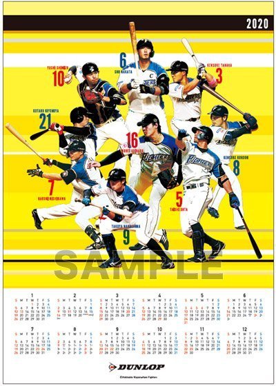 ダンロップ・ファイターズコラボカレンダー